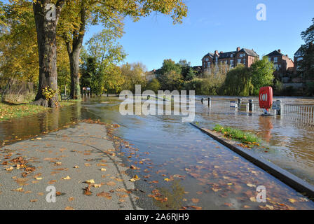 Eine überflutete Sydney Avenue entlang des Flusses Severn in Shrewsbury, Shropshire, Großbritannien nach einem Wochenende mit heftigen Regenfälle verursachten Überschwemmungen Stockfoto