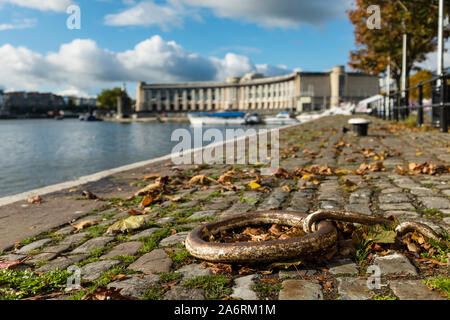 Blick auf Schwimmenden Hafen mit Lloyds Banking Group Hauptsitz im Hintergrund, Bristol, Großbritannien Stockfoto