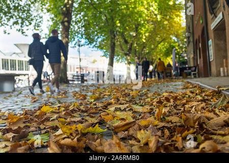 Herbst Blätter auf gepflasterten Straße gefallen, Schwimmenden Hafen, Bristol, Großbritannien Stockfoto