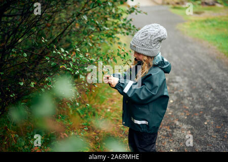 Von oben hübsches Kind in grauen Hut und Regenmantel Beeren Erkundung von Ast in der Hand im Wald im Ellidaardalur, Reykjavik, Island Stockfoto