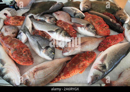 Kroatien, Split, Fischmarkt, Fisch, Stockfoto