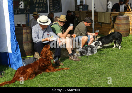 Männer und ihre Hunde entspannende außerhalb der Bierzelt am Chatsworth Spiel oder Country Fair, Chatsworth House, Derbyshire, England, Großbritannien Stockfoto