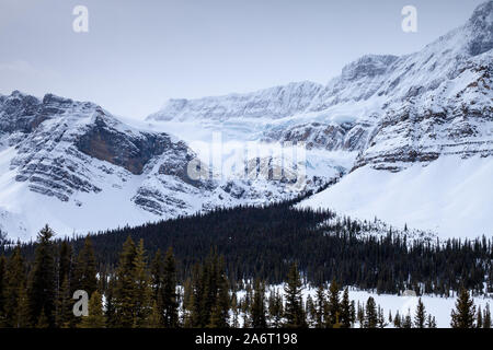 Der Crowfoot Gletscher im Winter entlang des Icefields Parkway in Banff National Park, Alberta, Kanada Stockfoto