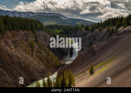 Ram fällt in den Ausläufern der Kanadischen Rocky Mountains in Alberta, Kanada Stockfoto