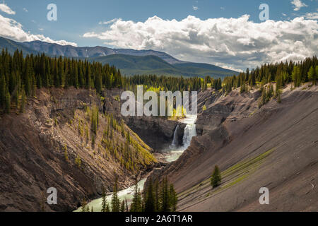 Ram fällt in den Ausläufern der Kanadischen Rocky Mountains in Alberta, Kanada Stockfoto