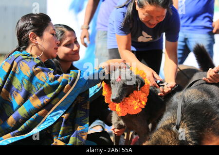 Kukur Tihar (Hund Festival) feiern in Kathmandu während des Tihar Festival im 27. Okt. 2019. Stockfoto