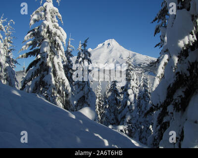 Ein Blick durch einige schneebedeckte Bäume zu einem schneebedeckten Mt. Haube. Auf dem Weg zum Gipfel des Ghost Ridge im Mt fotografiert. Hood National Fores Stockfoto