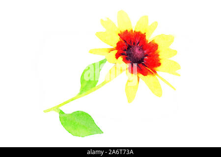 Digitale Kunst Malerei Leinwand - single Rudbeckia Blume mit gelben Blüten und Blätter auf einem weißen Hintergrund in Nahaufnahme (Aquarell) Stockfoto