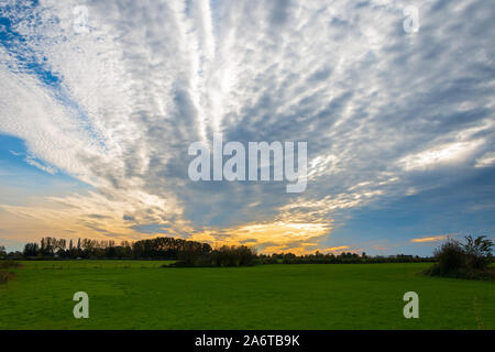 Schöne Stratocumulus Wolken in den Niederlanden am Fluss IJssel in der Nähe der Stadt Deventer Stockfoto