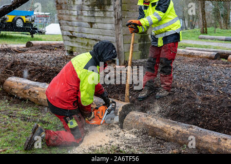 Junge Holzfäller arbeiten auf einem Spielplatz, schneiden Baumstamm mit Kettensägen in den regnerischen Tag. Stockfoto