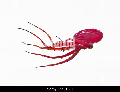 Eine schöne, bunte Lenkdrachen, in den blauen Himmel, hoch oben in den Wind in Form eines Oktopus Stockfoto