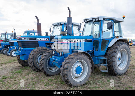 Haselbury Plucknet. Somerset. Vereinigtes Königreich. 18. August 2019. Eine Reihe von klassischen Ford Traktoren sind in einer Reihe auf Anzeige auf einen gestern Landwirtschaft eve geparkt Stockfoto