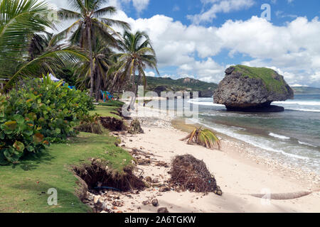 Felsbrocken auf batseba Strand an der südöstlichen Küste von Barbados. Stockfoto