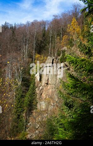 Herbst tiefen Wald in Isergebirge, Region Liberec, Tschechische Republik Stockfoto