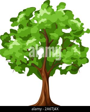 Vector Abbildung: Ein grüner Laubbaum auf einem weißen Hintergrund. Stock Vektor