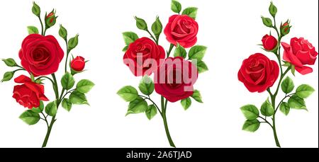 Vektor einrichten von Zweigniederlassungen von roten Rosen auf einem weißen Hintergrund. Stock Vektor