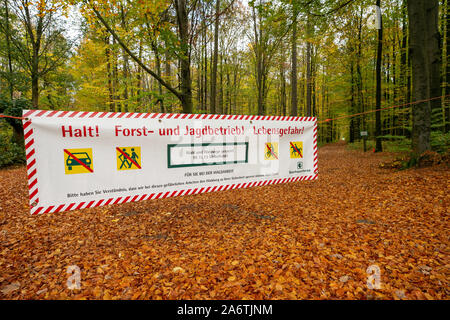 Fischbach, Deutschland. 28 Okt, 2019. Eine Fahne hängt zwischen zwei Bäumen und blockiert die Einfahrt zu einem Wald im Sächsischen Fischbach in der Nähe von Bischofswerda. Auf den Banner können Sie lesen: top! Forstwirtschaft und Jagd Operationen! Lebensgefahr" mit dem Verweis auf die §§ 11, 13 SächsWaldG (Wald Gesetz für den Freistaat Sachsen) und Symbole mit Durchgestrichenen Auto, Fußgänger, Radfahrer und Reiter. Credit: Daniel Schäfer/dpa-Zentralbild/ZB/dpa/Alamy leben Nachrichten Stockfoto