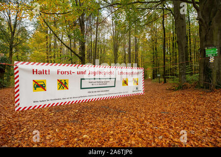 Fischbach, Deutschland. 28 Okt, 2019. Eine Fahne hängt zwischen zwei Bäumen und blockiert die Einfahrt zu einem Wald im Sächsischen Fischbach in der Nähe von Bischofswerda. Auf den Banner können Sie lesen: top! Forstwirtschaft und Jagd Operationen! Lebensgefahr" mit dem Verweis auf die §§ 11, 13 SächsWaldG (Wald Gesetz für den Freistaat Sachsen) und Symbole mit Durchgestrichenen Auto, Fußgänger, Radfahrer und Reiter. Credit: Daniel Schäfer/dpa-Zentralbild/ZB/dpa/Alamy leben Nachrichten Stockfoto