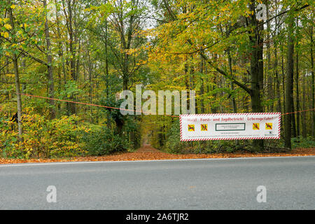 Fischbach, Deutschland. 28 Okt, 2019. Eine Fahne hängt zwischen zwei Bäumen und blockiert die Einfahrt zu einem Wald im Sächsischen Fischbach in der Nähe von Bischofswerda. Auf den Banner können Sie lesen: top! Forstwirtschaft und Jagd Operationen! Lebensgefahr" mit dem Verweis auf die §§ 11, 13 SächsWaldG (Wald Gesetz für den Freistaat Sachsen) und Symbole mit Durchgestrichenen Auto, Fußgänger, Radfahrer und Reiter. Credit: Daniel Schäfer/dpa-Zentralbild/ZB/dpa/Alamy leben Nachrichten Stockfoto