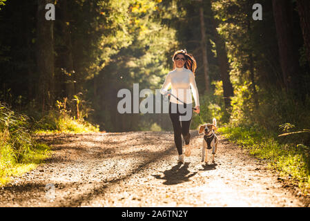 Mädchen ist, das mit einem Hund (Beagle) an der Leine im Herbst Zeit, sonniger Tag im Wald. Kopieren Sie Raum in der Natur Stockfoto