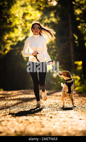 Mädchen ist, das mit einem Hund (Beagle) an der Leine im Herbst Zeit, sonniger Tag im Wald. Kopieren Sie Raum in der Natur Stockfoto