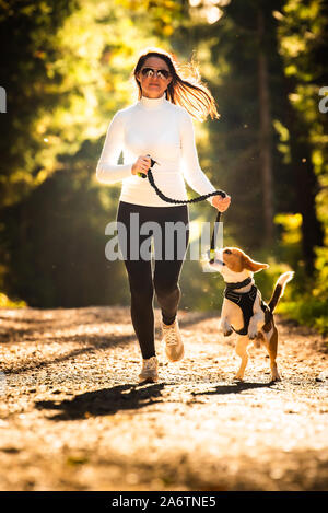 Mädchen ist, das mit einem Hund (Beagle) an der Leine im Herbst Zeit, sonniger Tag im Wald. Kopieren Sie Raum in der Natur Stockfoto