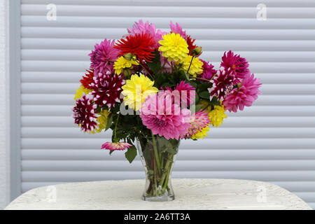 Einen schönen Blumenstrauß von dahlien im Topf Stockfoto