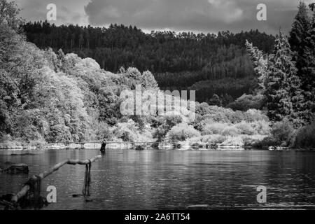 Das Porträt einer Fliege Fischer in einem Fluss. Der Fischer reeling in seinen Stab, um zu versuchen, einige Fische zu fangen. Stockfoto