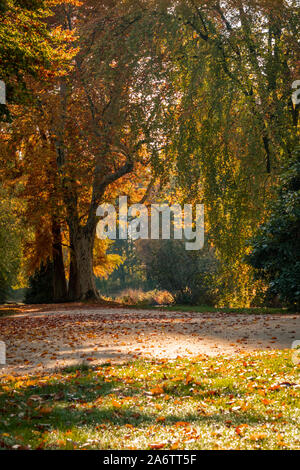 Schönen Herbst Landschaft mit angenehmen warmen Licht. Bild in Bad Muskau Park genommen, Sachsen, Deutschland. UNESCO-Weltkulturerbe. Stockfoto