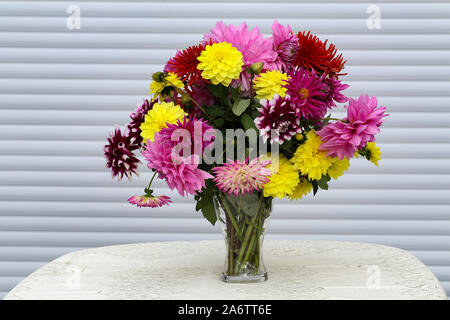 Einen schönen Blumenstrauß von dahlien im Topf Stockfoto