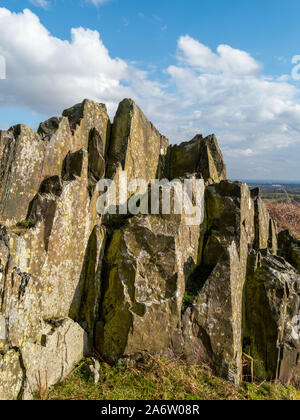 Ausläufer der angeblich ältesten (Präkambrium) rockt in Großbritannien, Bradgate Park Hügel, Leicestershire, England, UK Stockfoto