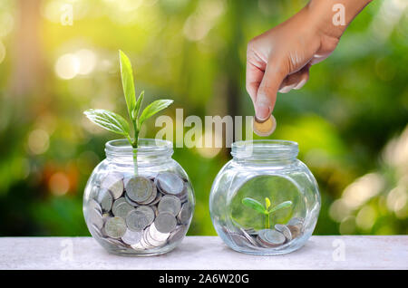 Münze baum Glas Glas Pflanzen von Münzen außerhalb der Glasbehälter auf verschwommenes grün Natur Hintergrund Geld sparen und Investitionen Finanzkonzept Stockfoto