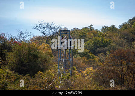 Zip-Linien über den Baumkronen in Mpumalanga, Südafrika Stockfoto