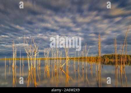 Manasquan Stausee Sonnenuntergang - Die untergehende Sonne beleuchtet den Bäumen und Vegetation entlang der Manasquan Behälter. Die Wolken im blauen Himmel sind auch r Stockfoto