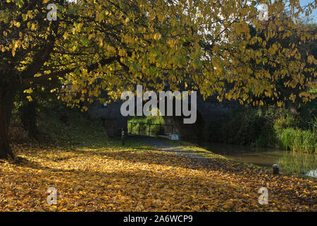 Montgomery Canal im Herbst in der Nähe von Blairgowrie, Powys. Oktober 2019 Stockfoto