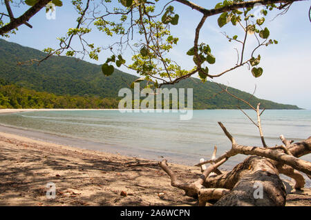 Strand am Cape Tribulation im Daintree National Park, ein Weltkulturerbe im tropischen Norden von Queensland, Australien Stockfoto