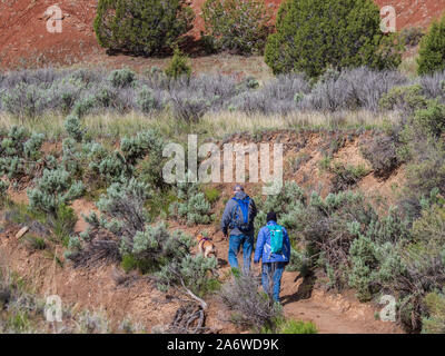 Wanderer auf dem Panoramaweg, Kodachrome Basin State Park, Cannonville, Utah. Stockfoto