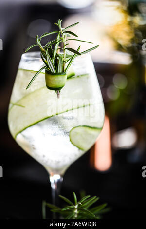 Frische Gin Tonic trinken mit Früchte & Gewürze Stockfoto