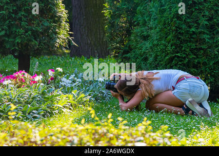 Fotograf Mädchen schießen Blumen im Park. Geeignet für alle purtrose verwenden Stockfoto