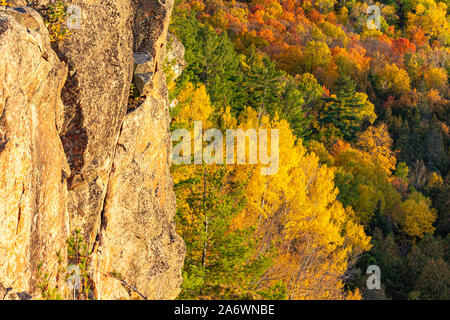 Ein grosser Stein Cliff steht neben einem gemischten Laub- und Nadelwald im Herbst. Im Herbst Farben orange, rot und gelb, mit der Evergreen Stockfoto