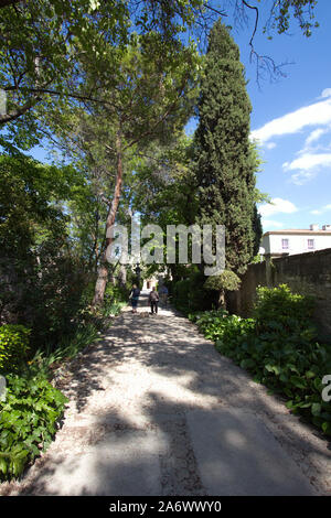 Zufahrt zu Saint-Paul-de-Mausole sanitorium an St-Remy-de-Provence, Bouches du Rhône, Frankreich Stockfoto