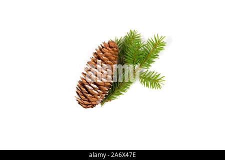 Weihnachten Konzept. Tannenzapfen mit Schnee und kleine Tanne Zweig auf weißem Hintergrund gestreut. Ansicht von oben. Close Up. Stockfoto