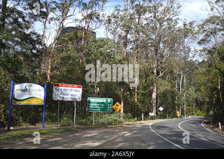 Beschilderungen für die Grenze zwischen Queensland und New South Wales in der Nähe von Mount Lindsey, die durch die Bäume gesehen Stockfoto