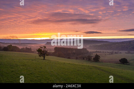 Niedriger Höhe drone Schießen auf herbstlichen Sonnenaufgang über der malerischen Landschaft Felder in Shropshire, Großbritannien Stockfoto