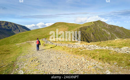 Ein Wanderer und ihrem Hund entlang eine Bergwanderung an einem sonnigen Tag auf den Gipfel des Hopegill Kopf im Lake District, England, UK. Stockfoto