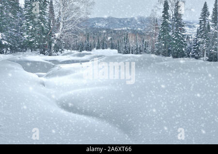 Schneefall in den Bergen Winter Wald mit Schnee bedeckt Fichten, Tannen und Birken. Schneewehen am Hang des Hügels. Winter Landschaft - Snowy backgroun Stockfoto