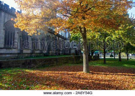 Manchester an einem herbstlichen Tag auf dem Gelände der Kathedrale Stockfoto