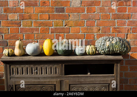 Eine Auswahl der Kürbisse in einer Reihe sitzen auf ein alter Schrank draußen in der Sonne. Genießbare Ernte Stockfoto