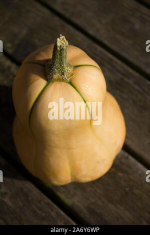 Ein butternut squash, von oben mit seinem Stiel draußen auf einem Holztisch Stockfoto