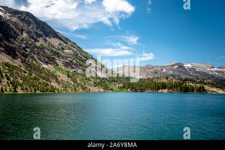 Misty alten Wald im Yosemite National Park, Kalifornien Stockfoto